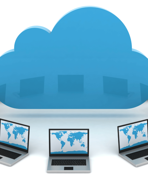 Untitled design (81)